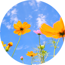 動物介在福祉士